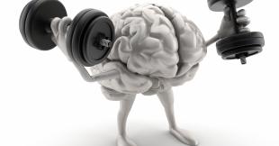Picture of brain with weights